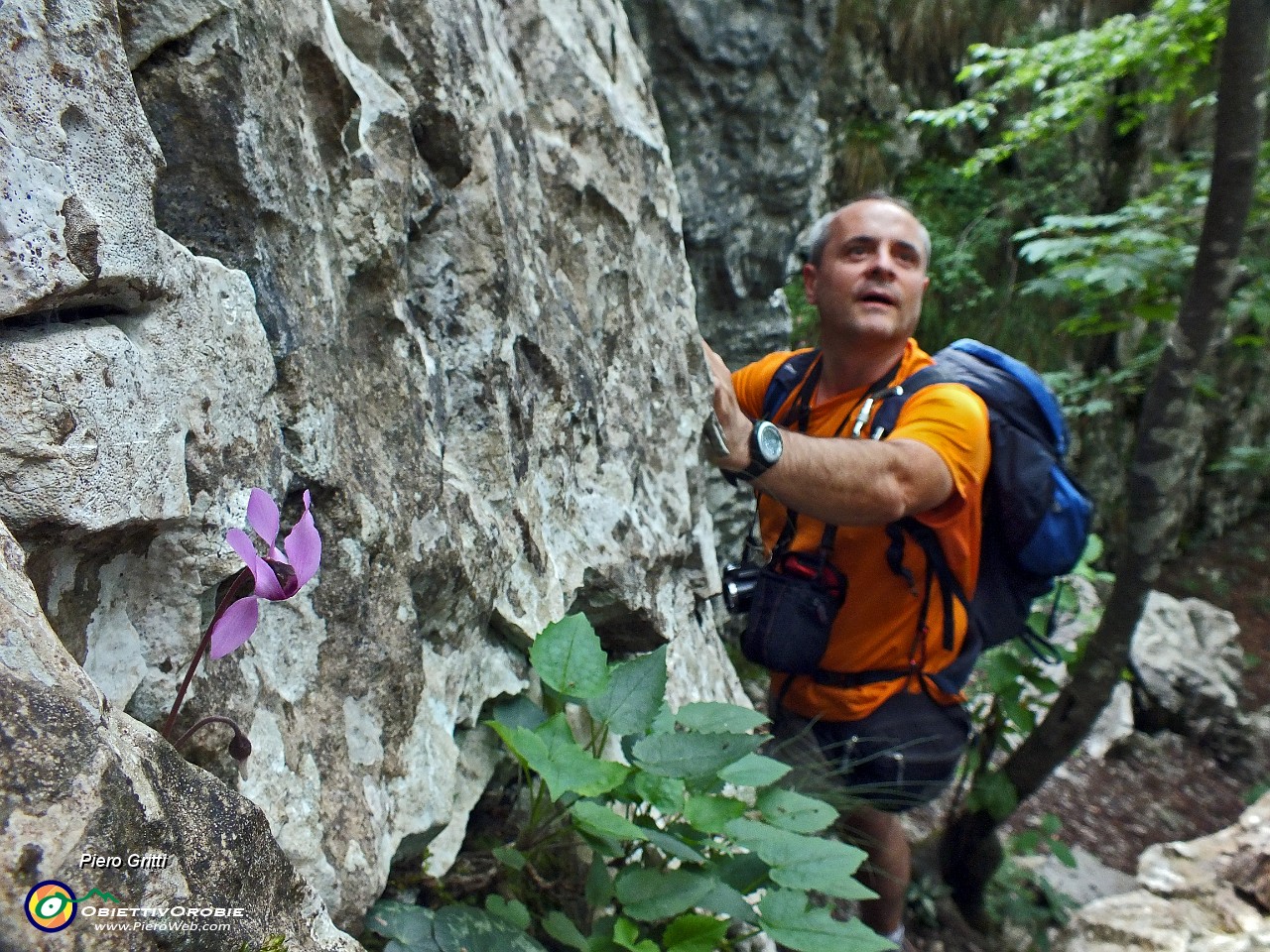 20 Ciclamino tra le rocce....JPG